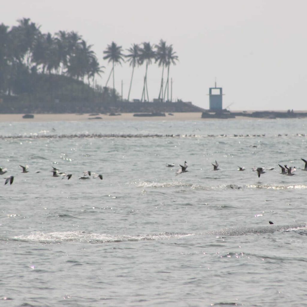 Beaches In Maharashtra abonthemove